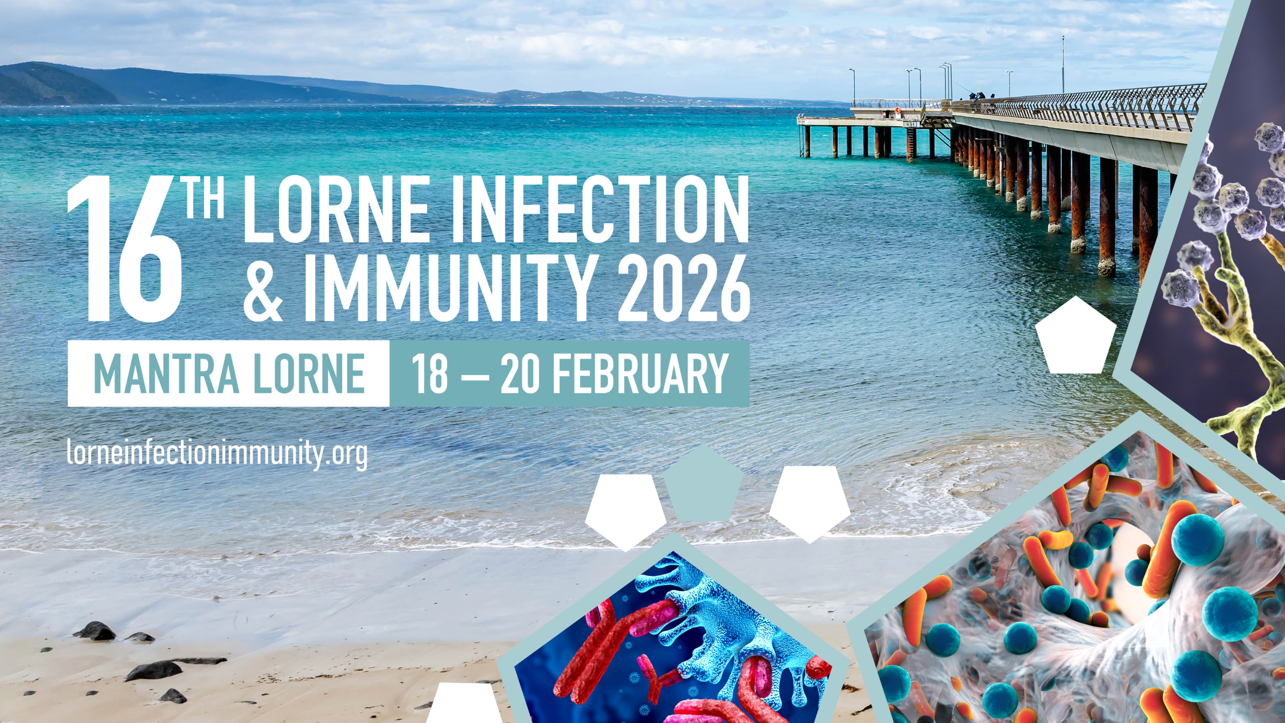 Lorne Infection and Immunity Conference 2026 promotional image, showing heading text in front of a photo of the Lorne beach and pier, and featured graphics of antibodies, immune cells, bacteria and fungi. Conference is located at Mantra Lorne, from 18-20 February 2026. Conference website is lorneinfectionimmunity.org