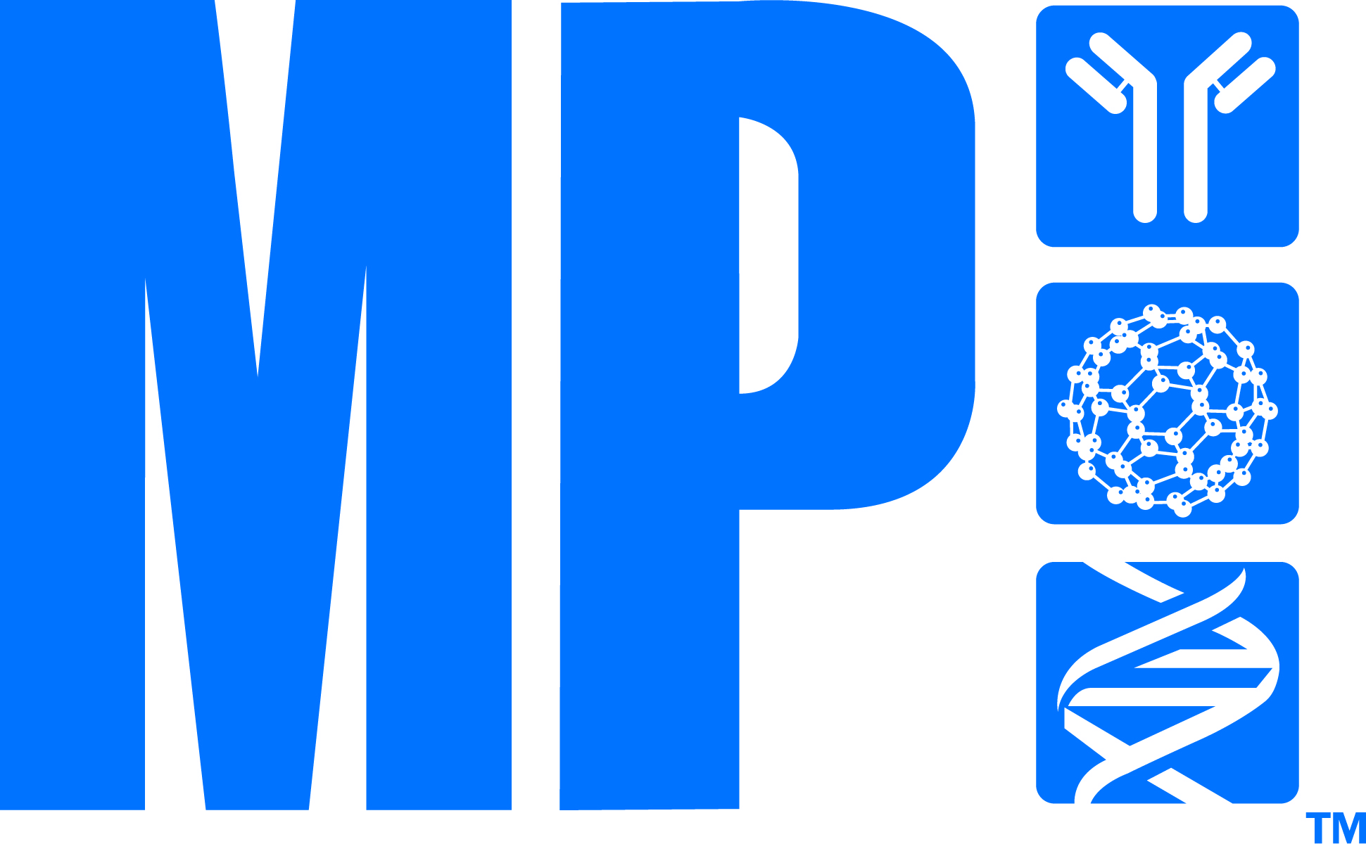 6 - MP